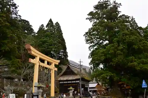 戸隠神社中社の鳥居