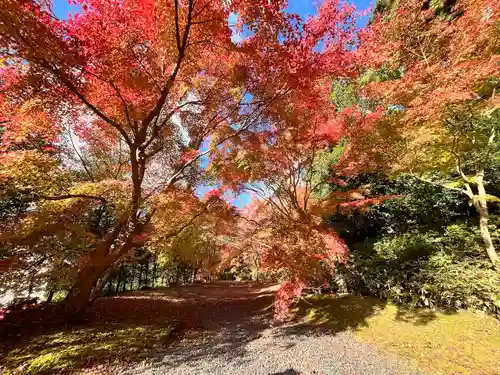弘川寺(大阪府)