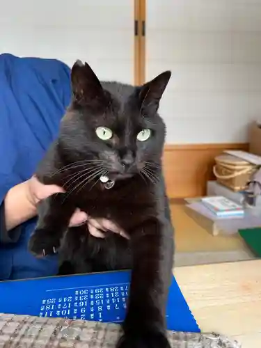 三河三弘法第二番　西福寺の動物