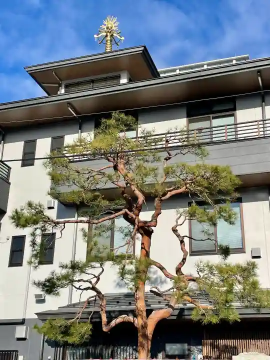 安楽寺の{uncategorized: "未分類", other: "その他", undefined: "問題あり", building: "その他建物", grave: "お墓", sacred_gate: "鳥居", guardian: "狛犬", statue: "像", buddha: "仏像", history: "歴史", nature: "自然", garden: "庭園", animal: "動物", pagoda: "塔", temizu: "手水舎", mountain_gate: "山門・神門", sanctuary: "本殿・本堂", subordinate: "末社・摂社", art: "芸術", scenery: "景色", jizo: "地蔵", ema: "絵馬", goshuin: "御朱印", omikuji: "おみくじ", items: "授与品その他", amulet: "お守り", goshuincho: "御朱印帳", eats: "食事", festival: "お祭り", votive_dance: "神楽", shichigosan: "七五三参", wedding: "結婚式", experience: "体験その他", initially: "初詣", around: "周辺", anti_infection: "感染症対策"}