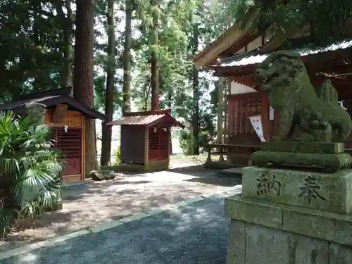 小沼浅間神社の狛犬