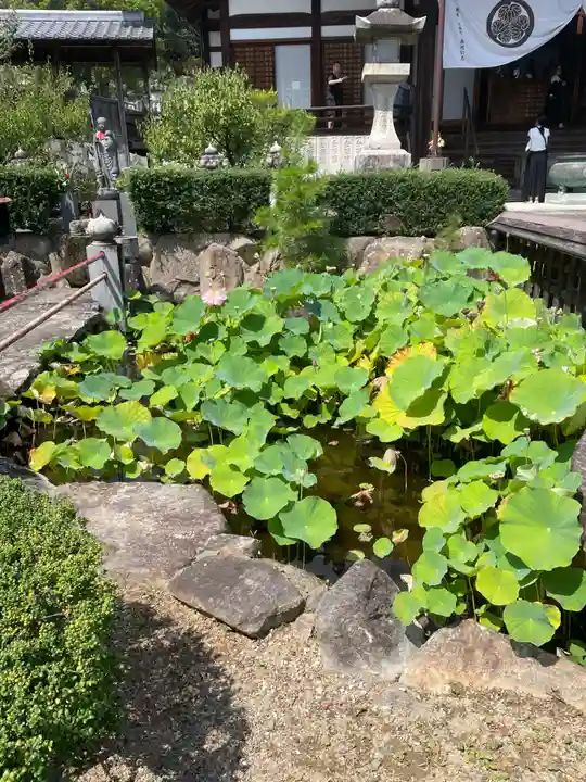 法然寺(香川県)