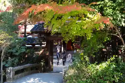 宇治上神社の山門・神門