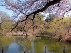 井草八幡宮(東京都)