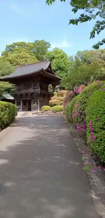 等覚院の山門・神門