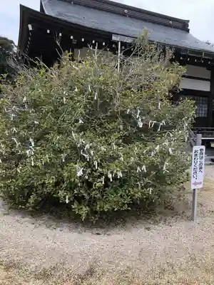 藤樹神社(滋賀県)