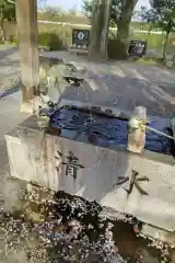 白髭神社の手水