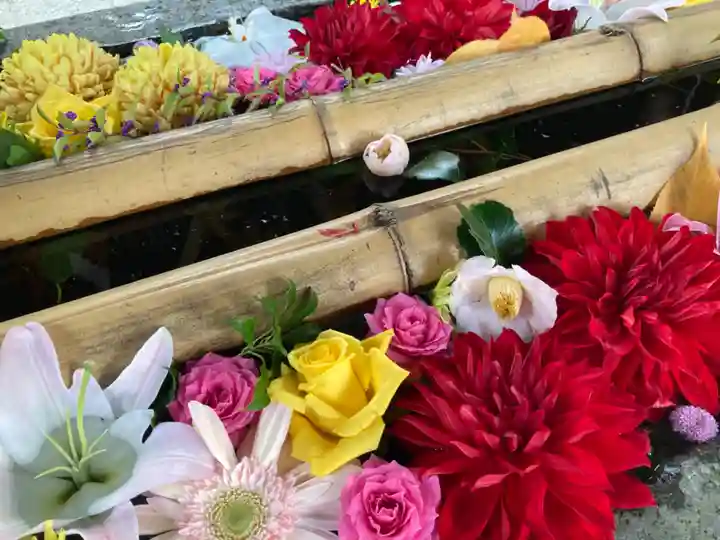 札幌護國神社の手水舎