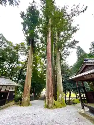 日尾神社の自然