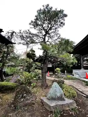小川寺(東京都)