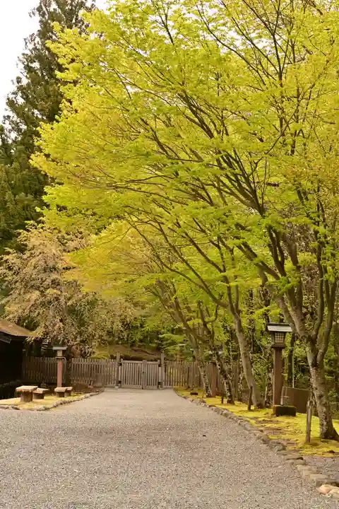 身曾岐神社(山梨県)