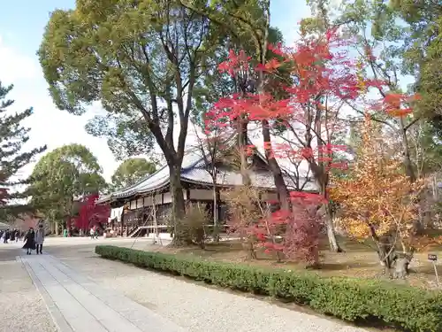 仁和寺の庭園