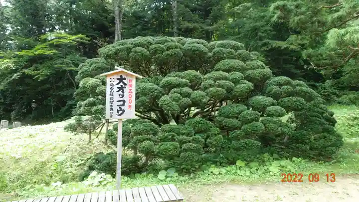 達谷西光寺の自然