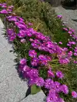 宝帒寺(神奈川県)