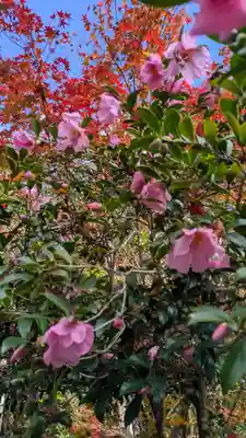 寂光院(京都府)