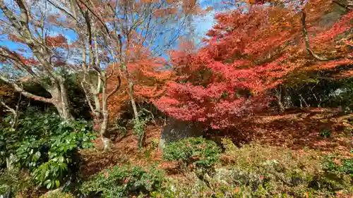 桂徳院(京都府)