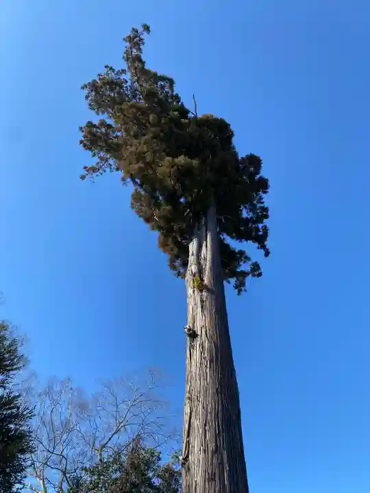 鶴峯八幡宮の{uncategorized: "未分類", other: "その他", undefined: "問題あり", building: "その他建物", grave: "お墓", sacred_gate: "鳥居", guardian: "狛犬", statue: "像", buddha: "仏像", history: "歴史", nature: "自然", garden: "庭園", animal: "動物", pagoda: "塔", temizu: "手水舎", mountain_gate: "山門・神門", sanctuary: "本殿・本堂", subordinate: "末社・摂社", art: "芸術", scenery: "景色", jizo: "地蔵", ema: "絵馬", goshuin: "御朱印", omikuji: "おみくじ", items: "授与品その他", amulet: "お守り", goshuincho: "御朱印帳", eats: "食事", festival: "お祭り", votive_dance: "神楽", shichigosan: "七五三参", wedding: "結婚式", experience: "体験その他", initially: "初詣", around: "周辺", anti_infection: "感染症対策"}