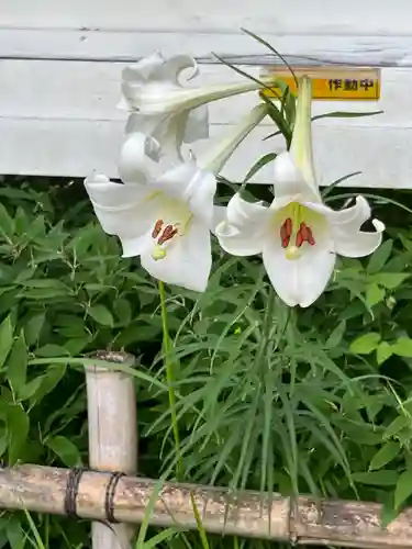 思金神社(神奈川県)