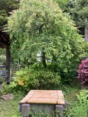 宝金剛寺（寶金剛寺）(神奈川県)