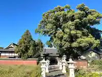 神田神社のその他建物