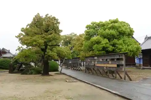 本山寺(香川県)