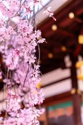 北野天満宮(京都府)