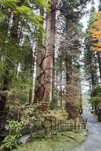 御岩神社の庭園