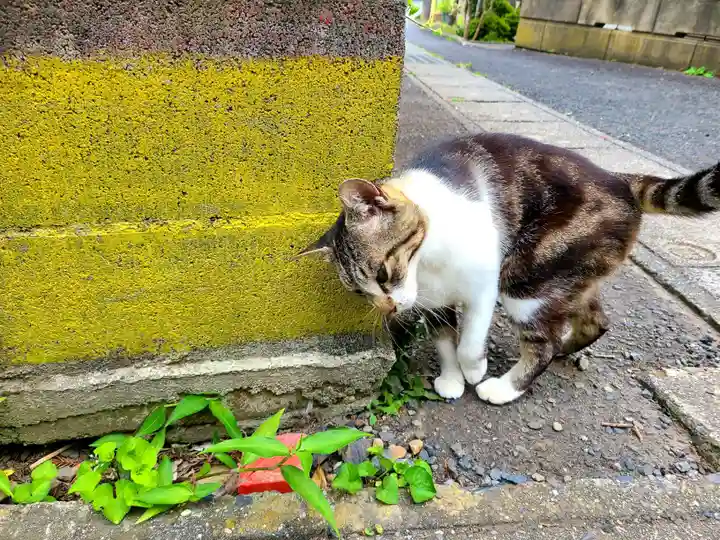 橿原神宮(茨城県)