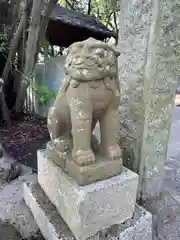 豊玉姫神社(香川県)