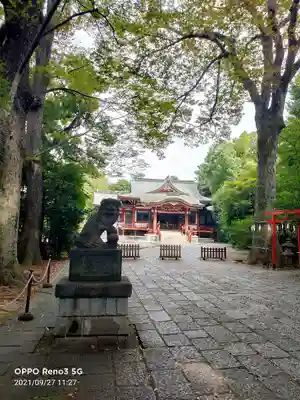 武蔵野八幡宮の狛犬