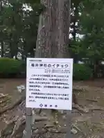 福井神社の自然