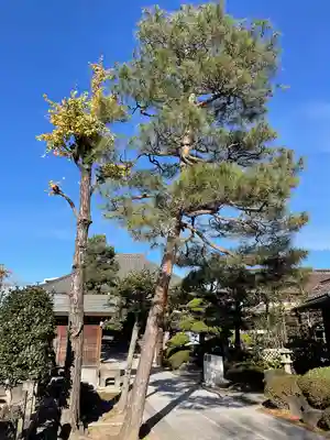 清亮寺(東京都)