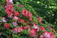 国宝 大法寺の自然