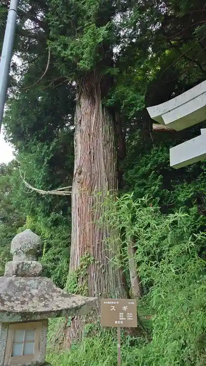 熊野神社(愛知県)