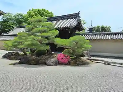 観智院（東寺子院）(京都府)