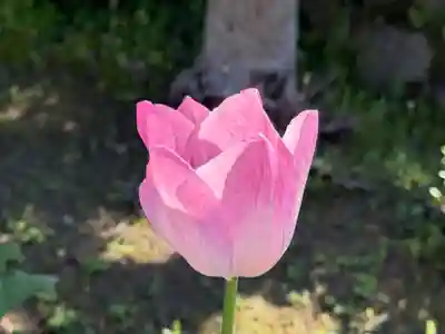 西方山極楽寺(岐阜県)