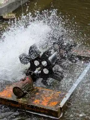 中津大神宮(大分県)