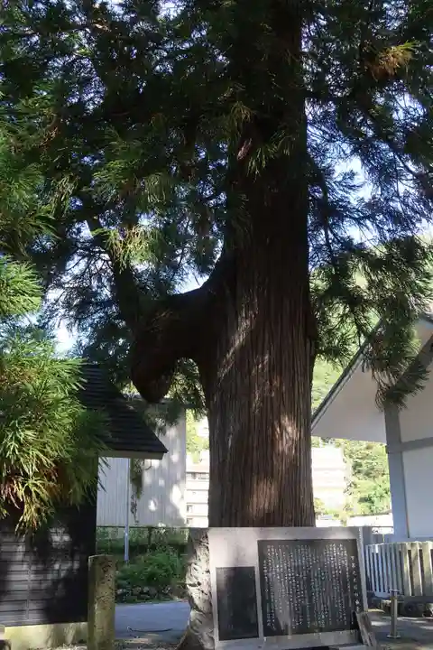 森水無八幡神社(岐阜県)