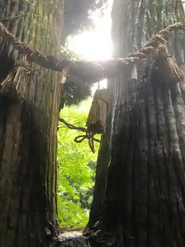 神龍八大龍王神社の自然