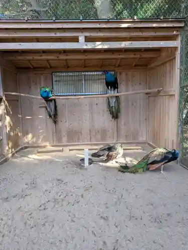 岩槻久伊豆神社(埼玉県)