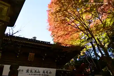 高尾山薬王院のその他建物