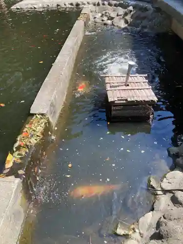 平塚八幡宮(神奈川県)