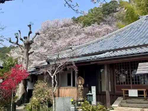 地蔵院の{uncategorized: "未分類", other: "その他", undefined: "問題あり", building: "その他建物", grave: "お墓", sacred_gate: "鳥居", guardian: "狛犬", statue: "像", buddha: "仏像", history: "歴史", nature: "自然", garden: "庭園", animal: "動物", pagoda: "塔", temizu: "手水舎", mountain_gate: "山門・神門", sanctuary: "本殿・本堂", subordinate: "末社・摂社", art: "芸術", scenery: "景色", jizo: "地蔵", ema: "絵馬", goshuin: "御朱印", omikuji: "おみくじ", items: "授与品その他", amulet: "お守り", goshuincho: "御朱印帳", eats: "食事", festival: "お祭り", votive_dance: "神楽", shichigosan: "七五三参", wedding: "結婚式", experience: "体験その他", initially: "初詣", around: "周辺", anti_infection: "感染症対策"}