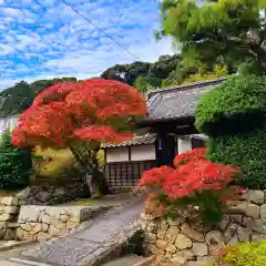 本興寺(静岡県)