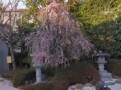 寿徳寺(神奈川県)