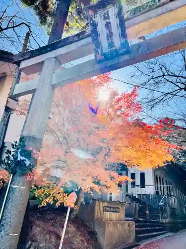 胡宮神社（敏満寺史跡）(滋賀県)