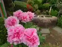 一乗寺(東京都)