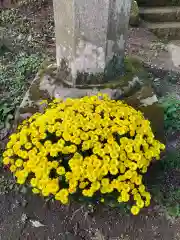 大宮温泉神社(栃木県)