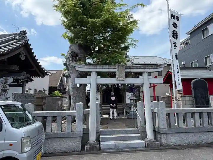 秋葉神社の{uncategorized: "未分類", other: "その他", undefined: "問題あり", building: "その他建物", grave: "お墓", sacred_gate: "鳥居", guardian: "狛犬", statue: "像", buddha: "仏像", history: "歴史", nature: "自然", garden: "庭園", animal: "動物", pagoda: "塔", temizu: "手水舎", mountain_gate: "山門・神門", sanctuary: "本殿・本堂", subordinate: "末社・摂社", art: "芸術", scenery: "景色", jizo: "地蔵", ema: "絵馬", goshuin: "御朱印", omikuji: "おみくじ", items: "授与品その他", amulet: "お守り", goshuincho: "御朱印帳", eats: "食事", festival: "お祭り", votive_dance: "神楽", shichigosan: "七五三参", wedding: "結婚式", experience: "体験その他", initially: "初詣", around: "周辺", anti_infection: "感染症対策"}