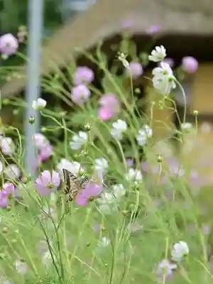 高倉神社(福島県)